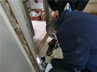 沙头杀白蚁公司专家发布白蚁的十大误区