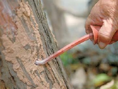 三水白蚁防治处理白蚁危害常用的工具与方法