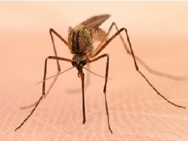 里水杀虫灭蚊公司常用的灭蚊子的方法有哪些