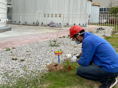 佛山红火蚁消杀站工业园区红火蚁防治方案