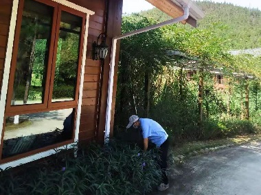 大沥四害消杀所外环境专用灭鼠器怎么布置