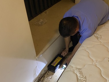 罗村白蚁备案机构秋季白蚁防治正确方法