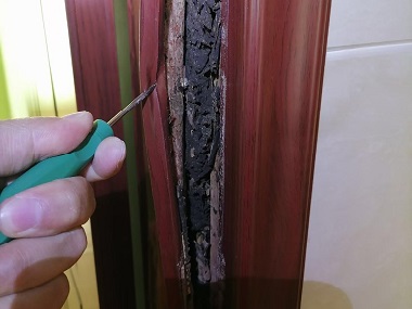 桂城验收白蚁机构卫生间易招白蚁的原因