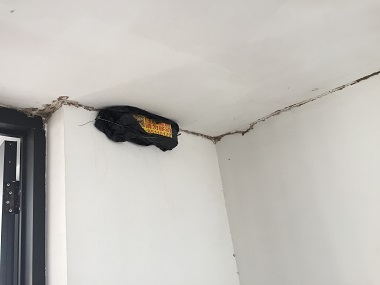 南海上门治白蚁公司卫生间易招白蚁的几个原因